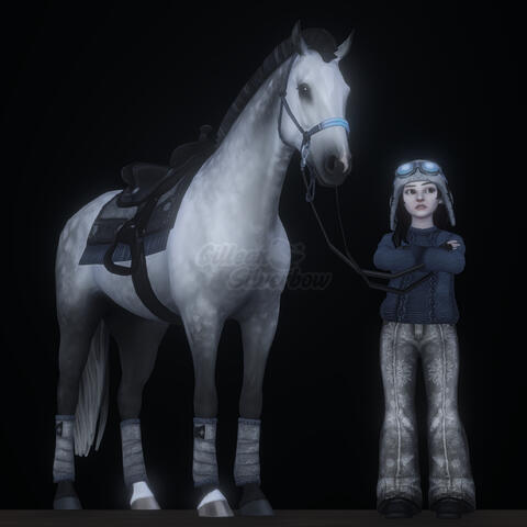 Outfit on dapple grey horse