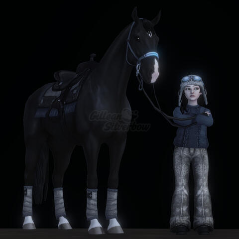 Outfit on black horse