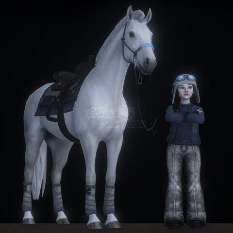 UntitledOutfit on white horse